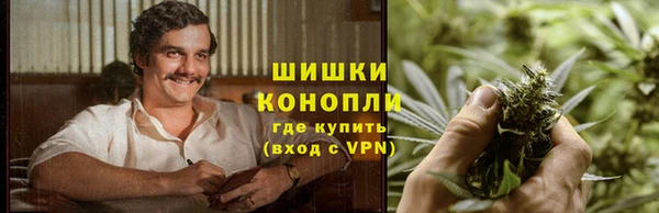 мдпв Кулебаки