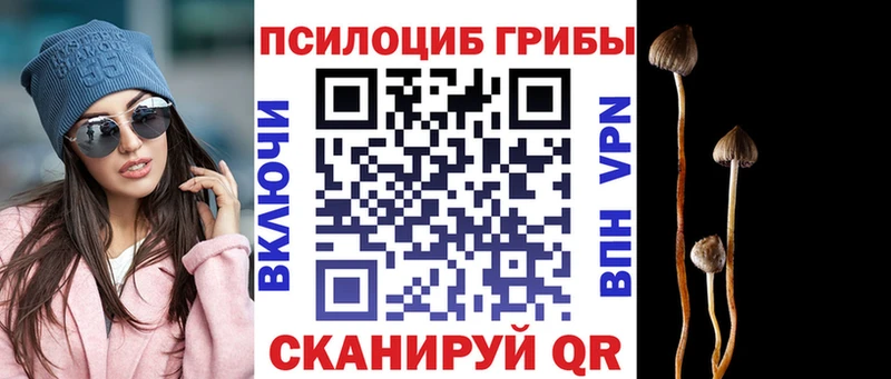 купить наркотики цена  Щёлково  Галлюциногенные грибы Psilocybe 